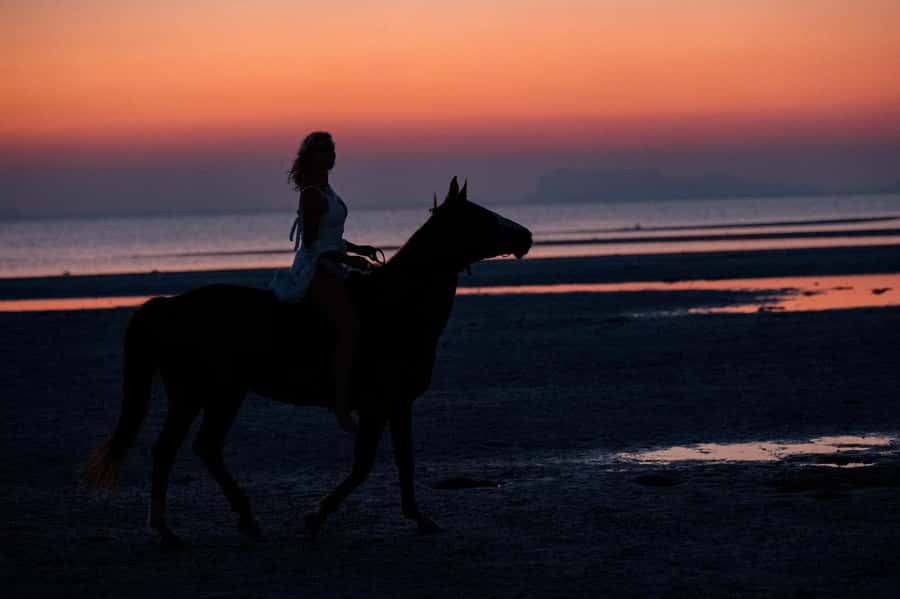 Phuket: Sunset Beach Horseback Journey - Practical tips for a smoother, safer sunset session