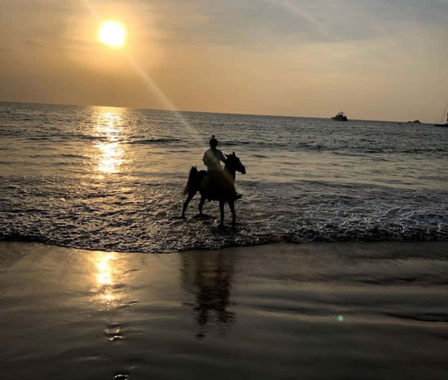 Phuket: Sunset Beach Horseback Journey - The gardens-to-beach ride: what the 1 hour actually feels like
