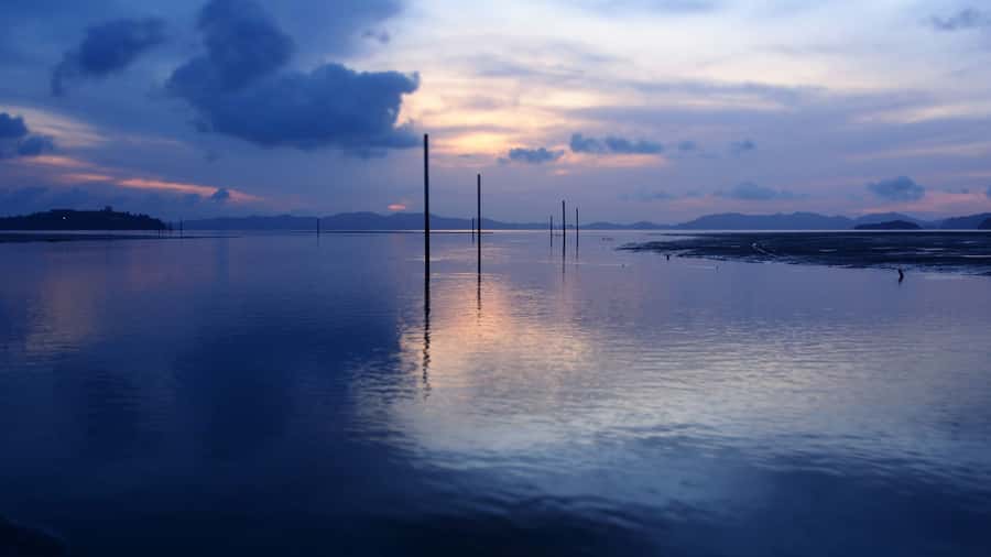 Phuket to Phi Phi Full-Day Luxury Speed Boat Charter - Maya Bay at Its Best: Sunrise Timing and Seasonal Rules