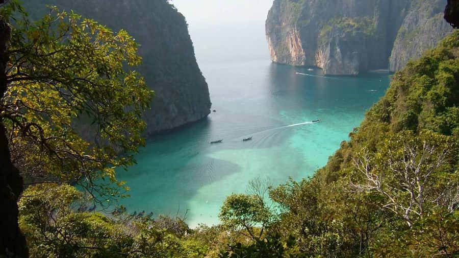 Phuket to Phi Phi Full-Day Luxury Speed Boat Charter - Phi Phi Islands Snorkeling: Sharks, Reefs, and Real Time in the Water