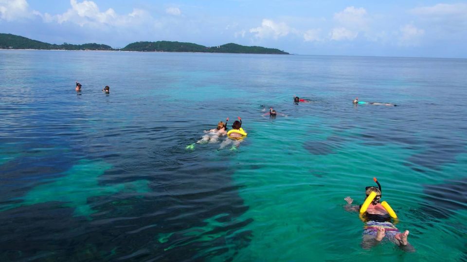 Phuket to Phi Phi Full-Day Luxury Speed Boat Charter - Monkey Beach and Viking Cave: Wildlife Stops Between Swim Sessions
