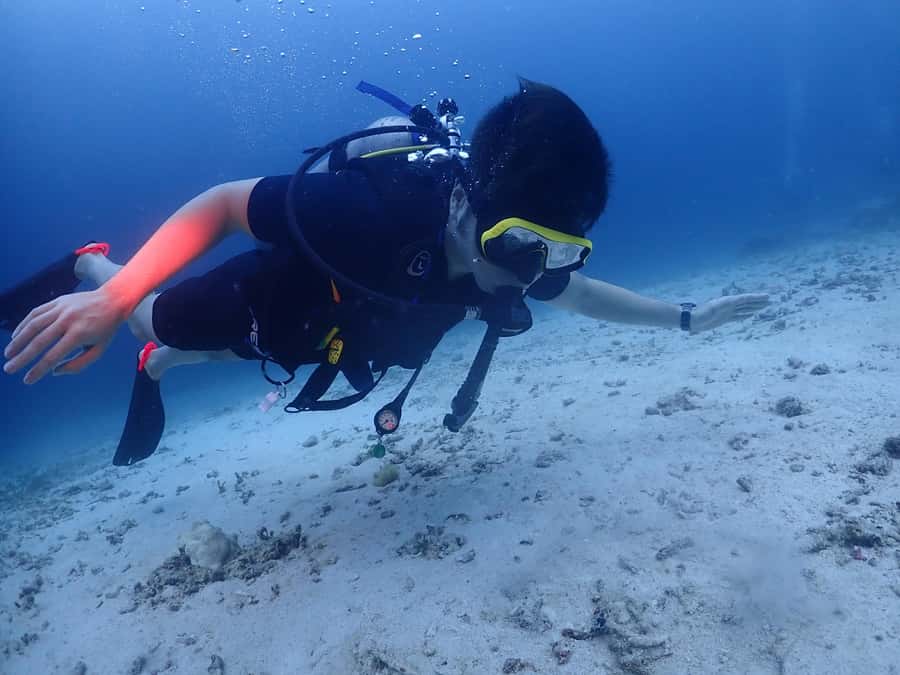 Phuket: Try SCUBA DIVING Full Day Experience 2 Dives - The Day’s Rhythm From Pickup to Chalong Harbor