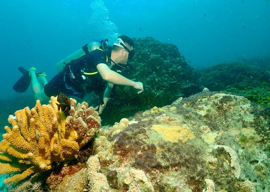 Phuket: Try SCUBA DIVING Full Day Experience 2 Dives - Break Time and Lunch: Fuel Up for Session Two
