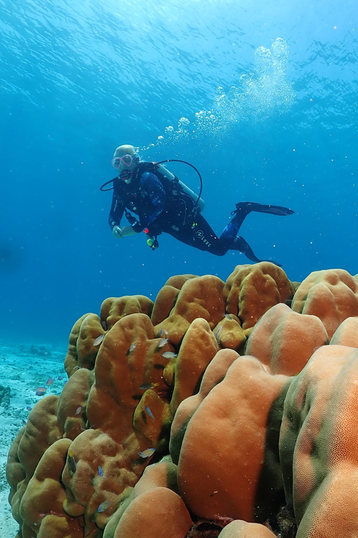 Phuket: Try SCUBA DIVING Full Day Experience 3 Dives - Should you book this Phuket Try SCUBA day?