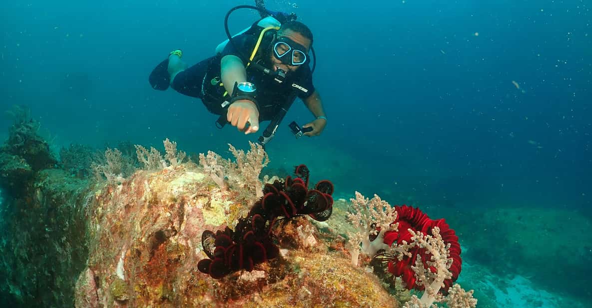 Phuket: Try SCUBA DIVING Full Day Experience 3 Dives - Racha Yai breakfast and safety time: why this stop matters