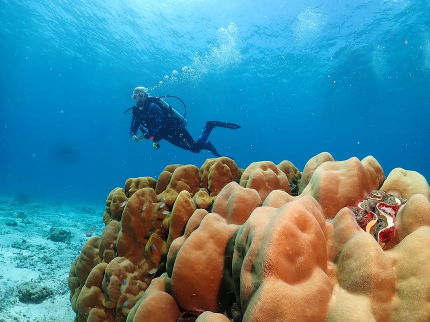 Phuket: Try SCUBA DIVING Full Day Experience 3 Dives - Safety notes that are worth reading twice