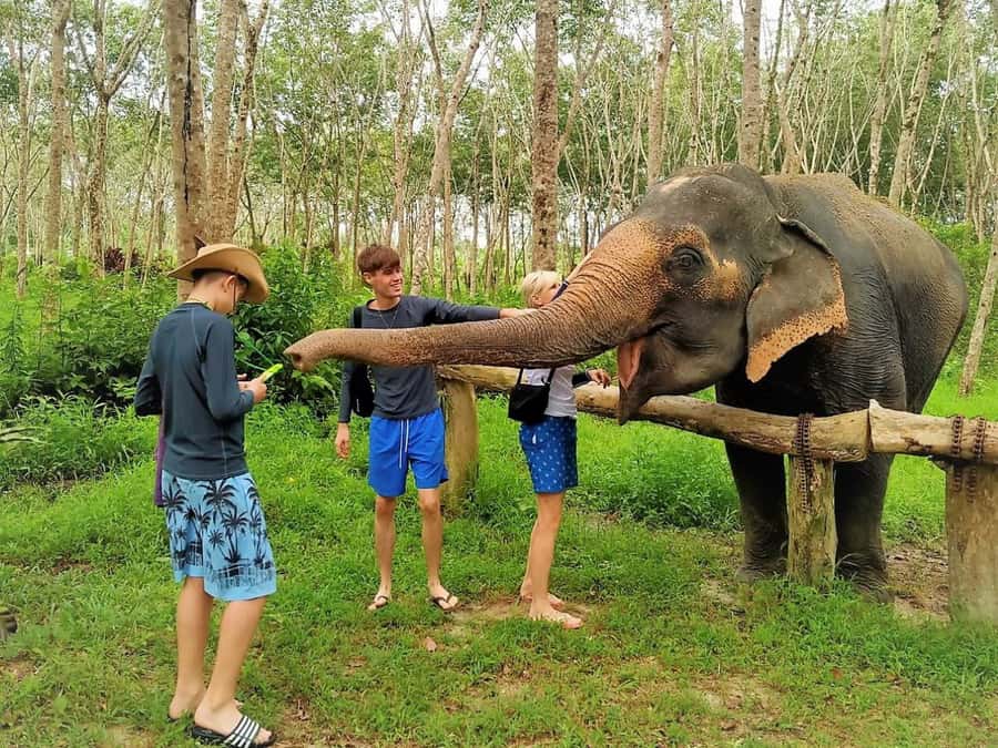 Phuket: Turtles, Rafting & Elephants Private Ethical Tour - Key highlights worth planning around
