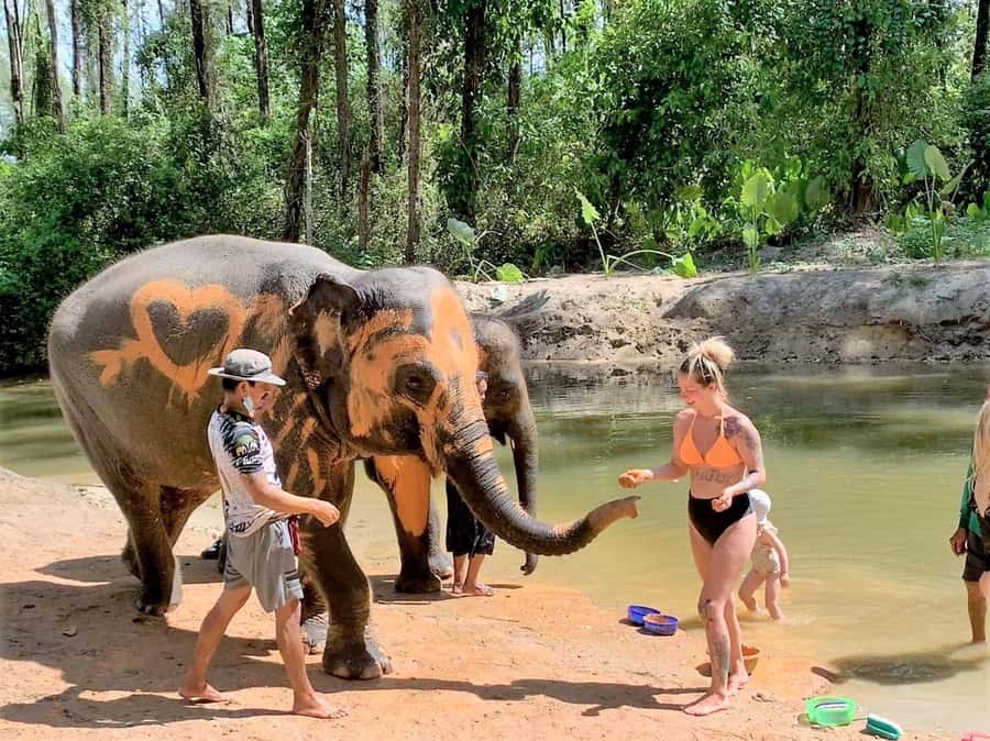 Phuket: Turtles, Rafting & Elephants Private Ethical Tour - Herbal supplement prep, Ya Dom, and Khanom Krok: Thai culture that sticks