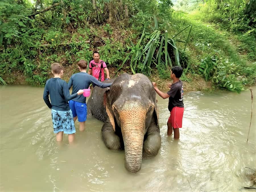 Phuket: Turtles, Rafting & Elephants Private Ethical Tour - Getting to Phang Nga: why the drive is part of the experience