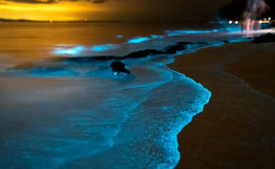 Phuket : Twilight Sea Canoe Tour with Glowing Plankton - Panak Island caves and hidden lagoons: your first real taste of the bay