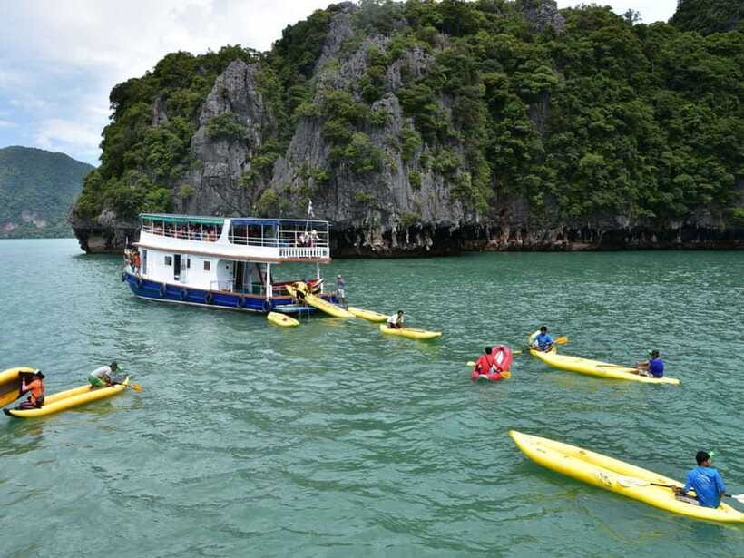 Phuket: Twilight Sunset Tour with Bioluminescent Plankton - After dark: seeing bioluminescent plankton from your canoe