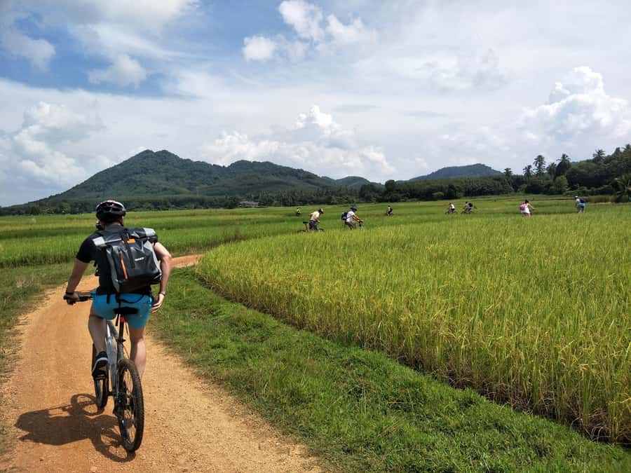Phuket: Yao Island Cycling and Beach Day-Trip - Why Koh Yao Noi Feels Right for a Bike Day