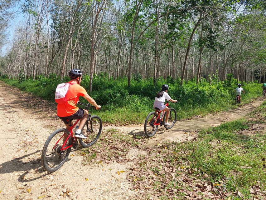 Phuket's Hidden Trails Biking Adventure Small-Group Tour - Quick reasons this ride works in Phuket