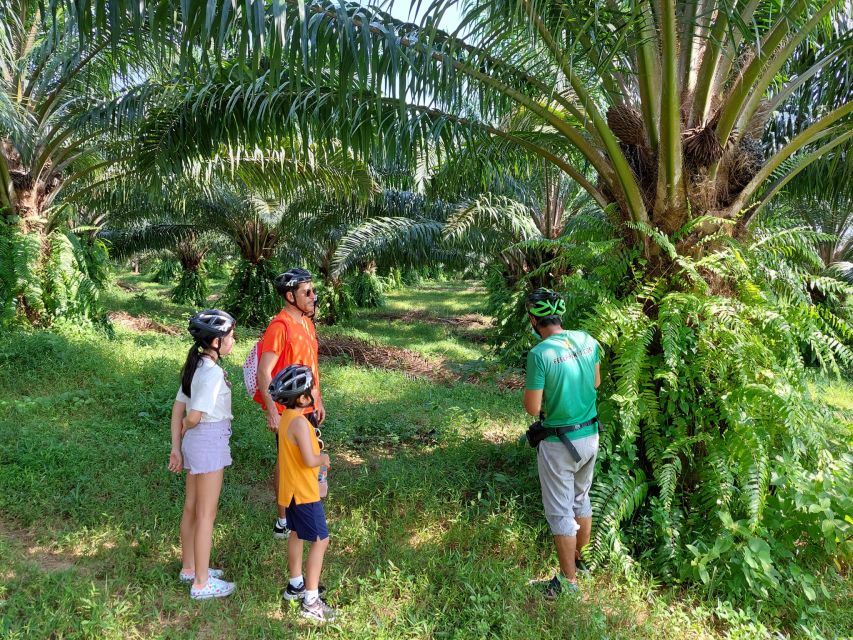 Phuket's Hidden Trails Biking Adventure Small-Group Tour - Forest trails and the 4 km off-road reality