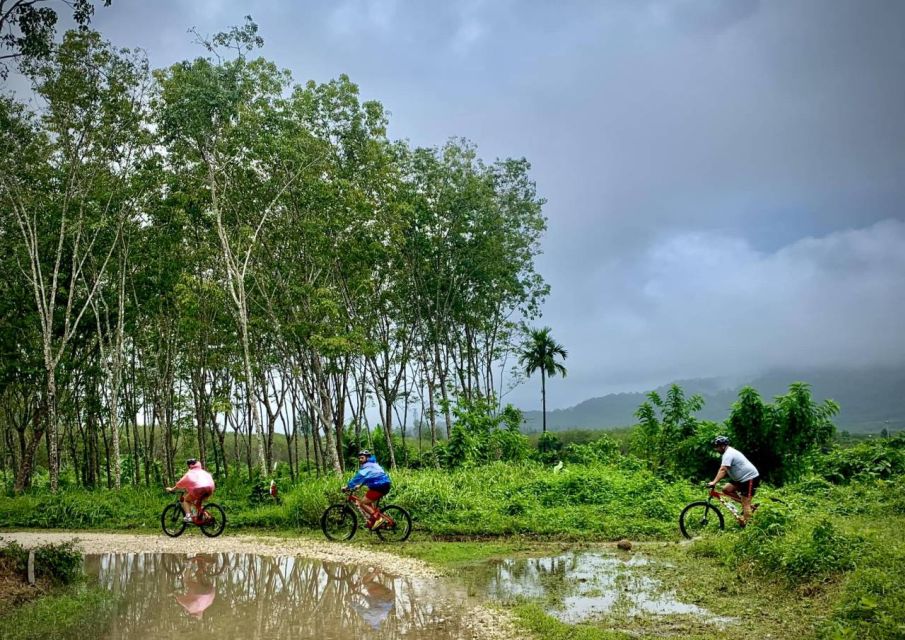 Phuket's Hidden Trails Biking Adventure Small-Group Tour - Price and value: is $77 a fair deal?
