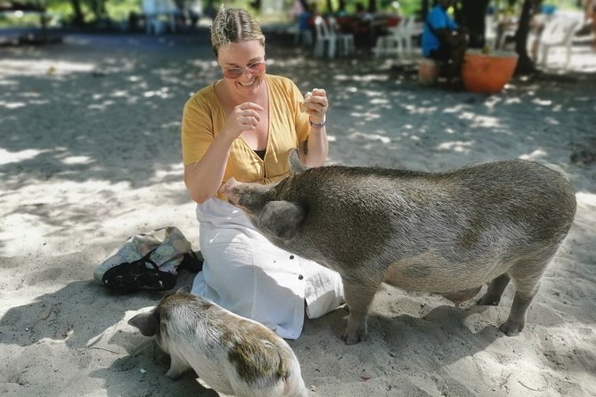 Pig Feeding, Kayaking, Snorkeling Trip at Pig Island By Speedboat From Koh Samui - Pig Island pig feeding: what you’re actually signing up for