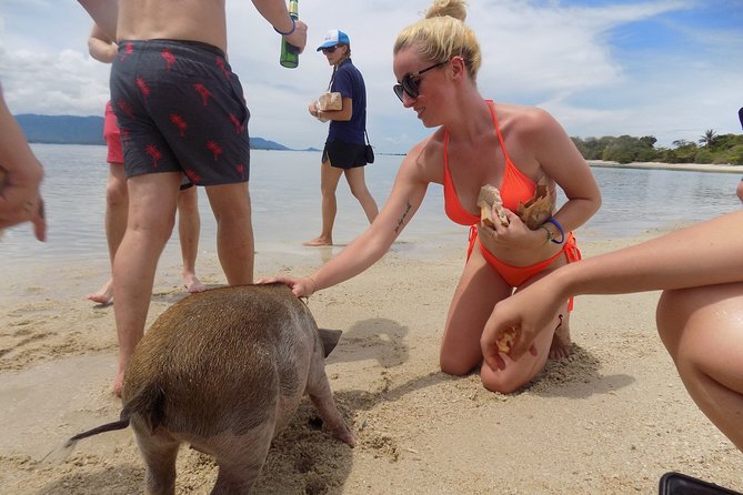 Pig Feeding, Kayaking, Snorkeling Trip at Pig Island By Speedboat From Koh Samui - Koh Madsum / Ko Mat Sum: kayaking, swimming, and beach relaxation