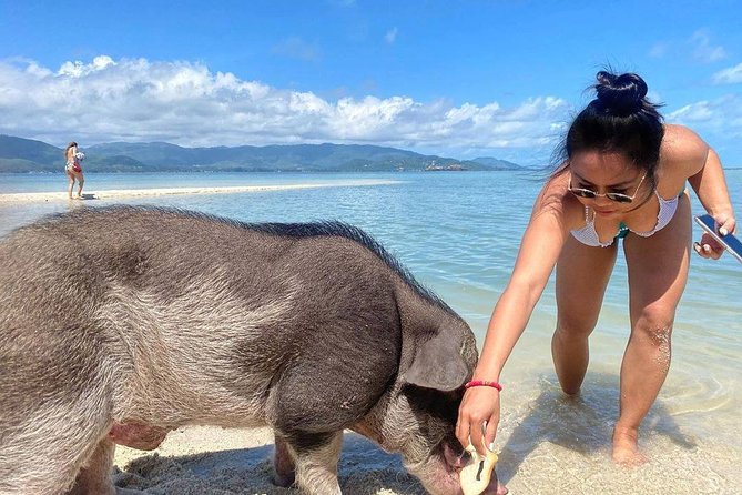 Pig Feeding, Kayaking, Snorkeling Trip at Pig Island By Speedboat From Koh Samui - Lunch, fruit, soft drinks, and the included gear you’ll actually use