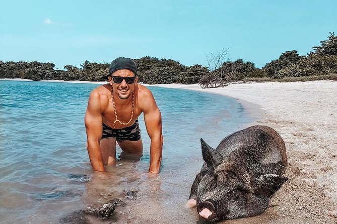 Pig Island Experience By Speed Boat, Snorkeling, Kayaking Relaxing on the Beach - Pickup, pier waits, and how the schedule feels in real life