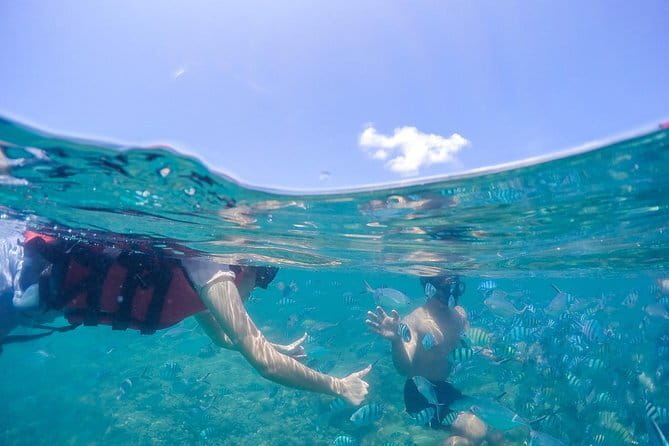 Pig Island & Koh Tan Tour by Speed Boat (Snorkeling & Kayaking) - What makes this tour feel well organized (when it’s running smoothly)
