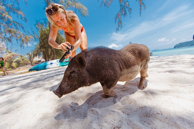 Pig Island Private Longtail Boat Trip From Koh Samui - The route: Ko Samui, Koh Tan, Ko Mat Sum, and Thong Krut Beach