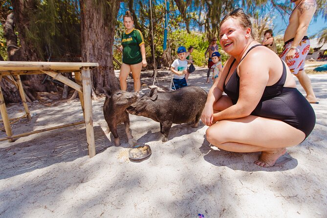 Pig Island Private Longtail Boat Trip From Koh Samui - Pig Island time: meeting the boars without turning it into a circus