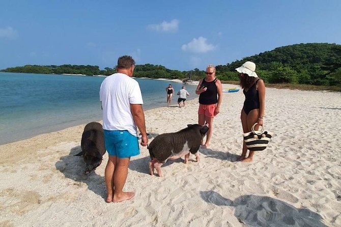 Pig Island Snorkeling & Sightseeing Tour By Speedboat From Koh Samui - What You Get in Real Life: Lunch, Water, Fruit, and Safety Gear