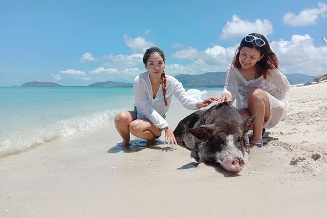 Pig Island Snorkeling & Sightseeing Tour By Speedboat From Koh Samui - Transfers, Timing, and Group Size: How the Day Runs