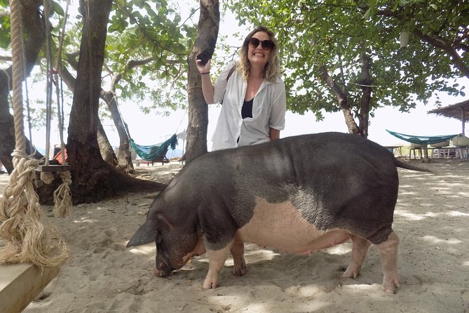 Pig Island Snorkeling & Sightseeing Tour By Speedboat From Koh Samui - Snorkeling Expectations: Visibility, Fish, and Why Some Days Feel Better