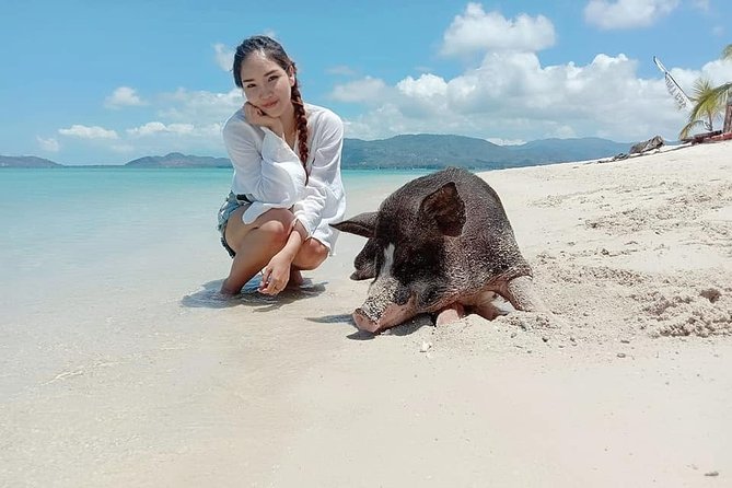 Pig Island Snorkeling & Sightseeing Tour By Speedboat From Koh Samui - Who This Tour Fits Best (and Who Should Skip It)