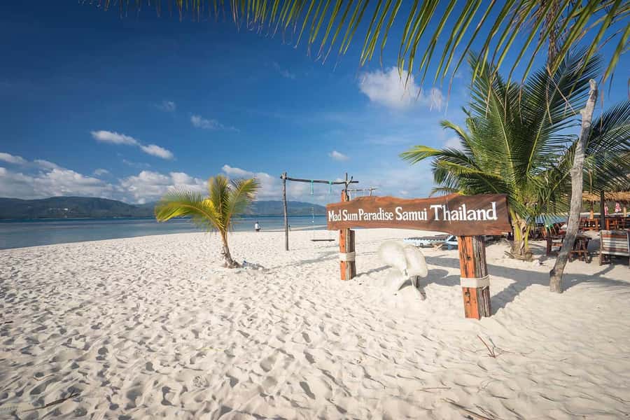 Pig Island(Koh Mudsum) and Koh Tan Half Day Snorkeling Tour - The Speedboat Ride From Ko Samui: Fast, Shared, and Straightforward