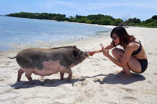 Pigs Island exclusive Semi VIP - Hidden lagoon time: where the floating fruit and calm water do their job