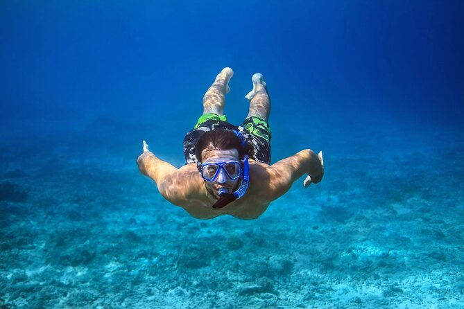 Pink Dolphin Spotting & Snorkelling Day Tour At Pigs Island - Pig Island is the payoff stop (white sand and pig time)