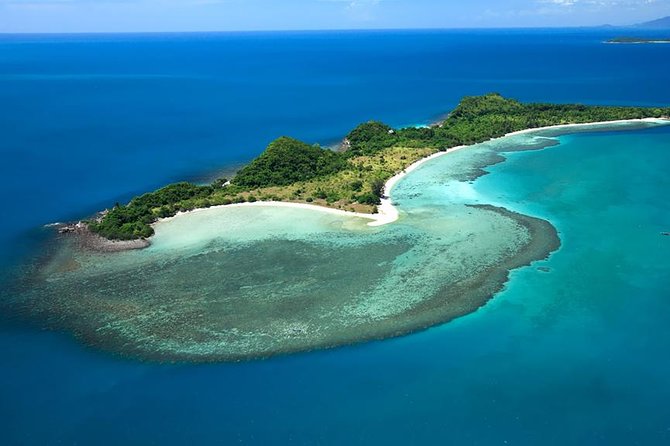 Pink Dolphin Spotting & Snorkelling Day Tour At Pigs Island - Boat comfort, group size, and guide style