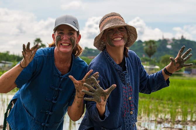 Plough to Plate: Be A Rice Farmer in Phetchaburi from Hua Hin - Dehusking, milling, and the real path from grain to food