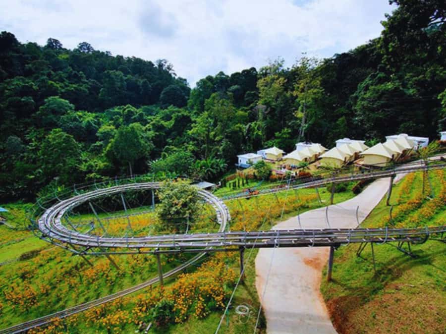 Pongyang Jungle Coaster & Zipline (Transfer) - Jungle Coaster + Zipline: What Makes This Combo Worth Your Time