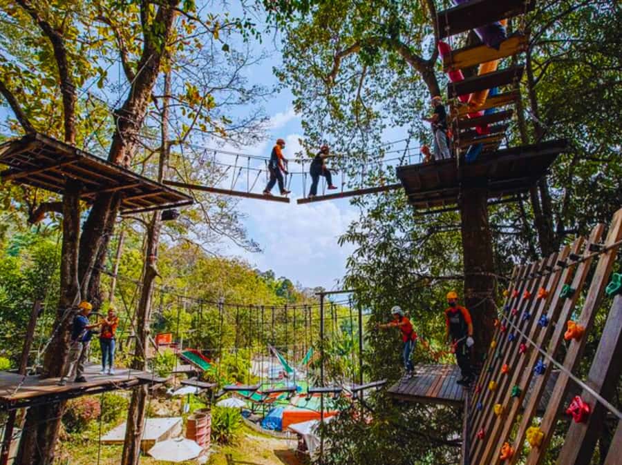Pongyang Jungle Coaster & Zipline (Transfer) - The Jungle Coaster: Fast, Safe, and Visually Rewarding
