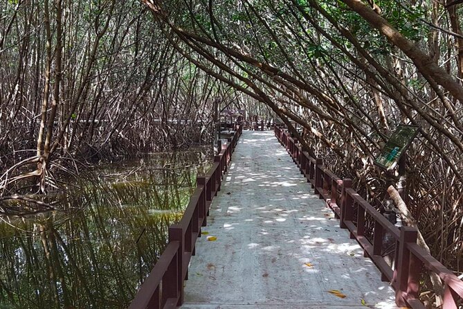 Pranburi Forest Park and Khao Daeng Join Tour from Hua Hin - Why Pranburi Mangroves and Khao Daeng Fit Together