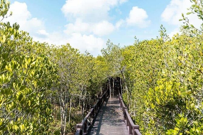 Pranburi Forest Park and Khao Daeng Join Tour from Hua Hin - Price and Logistics: What You’re Really Paying For