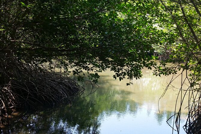 Pranburi Forest Park and Khao Daeng Join Tour from Hua Hin - Pranburi River Cruise: Relaxing Longtail Boat Time, With Variable Wildlife