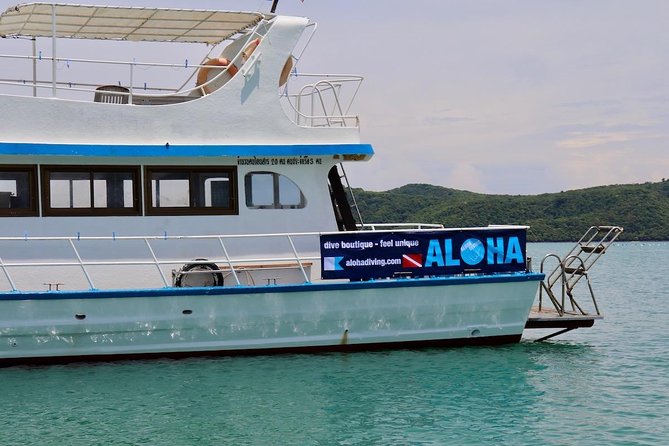 Premium Guided Scuba Diving Day Trip for Certified Divers - Snorkeling Gear Included, Scuba Gear Not Included: The One Planning Check