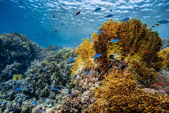 "Premium" Non Certified Beginner Scuba Diving in Racha Yai/Noi - Premium Phuket Scuba for Non-Certified Beginners: Why This Feels “Premium”
