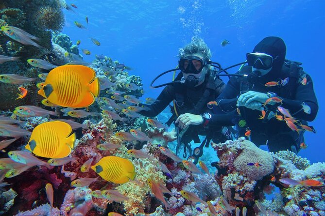 "Premium" Non Certified Beginner Scuba Diving in Racha Yai/Noi - Racha Yai and Racha Noi: What You Can Expect at Beginner Depths