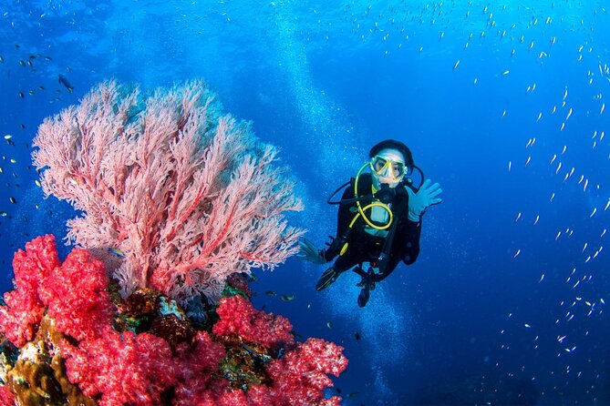 "Premium" Non Certified Beginner Scuba Diving in Racha Yai/Noi - Safety, Insurance, and Instructor Attention: What “Support” Looks Like