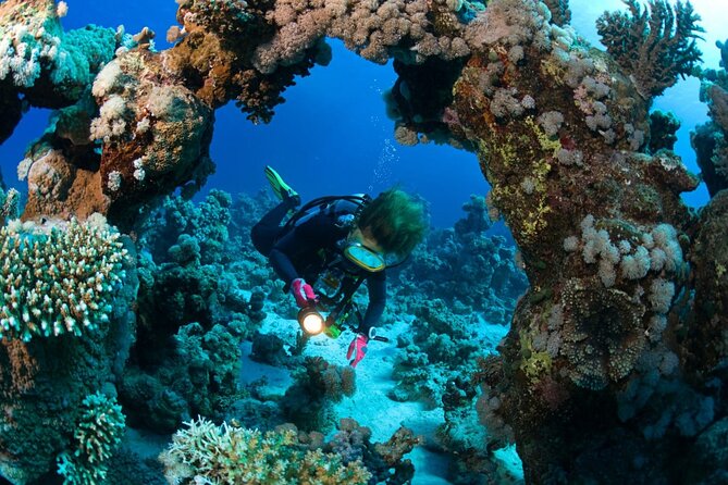 "Premium" Non Certified Beginner Scuba Diving in Racha Yai/Noi - Who This Suits Best (and Who Should Re-think It)