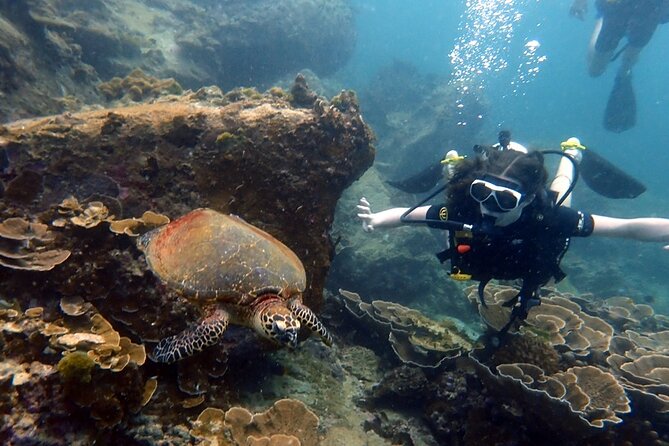 "Premium" Non Certified Beginner Scuba Diving in Racha Yai/Noi - Tips to Make Your First Session Go Smoothly