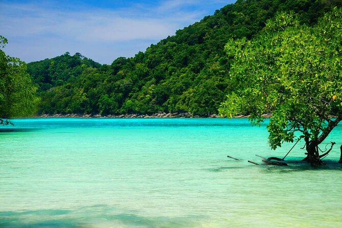 Premium Similan Island Day Trip with lunch and transfer pick up - Pickup, speedboat time, and the group-size reality check