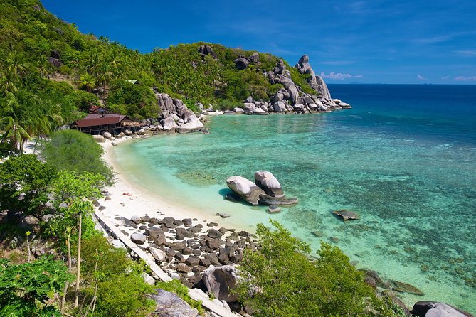 Premium Snorkel Tour to the Bays of Koh Tao onboard the Oxygen - Mango Bay or Lighthouse Bay, then Hin Wong Bay for color and fish