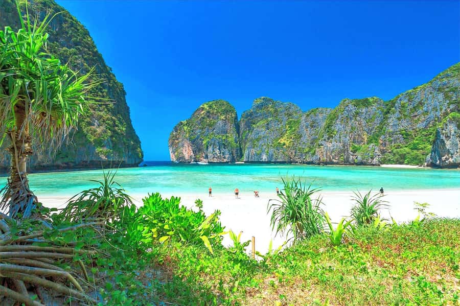 Premium Trip From Phuket: Phi Phi, Maya Bay & Khai Islands - Phuket pickup to Royal Phuket Marina: the start that sets the pace