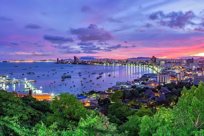 Private Airport Transfer: Bangkok to/from Pattaya Free Motorway - Who should book this transfer—and who should be extra careful